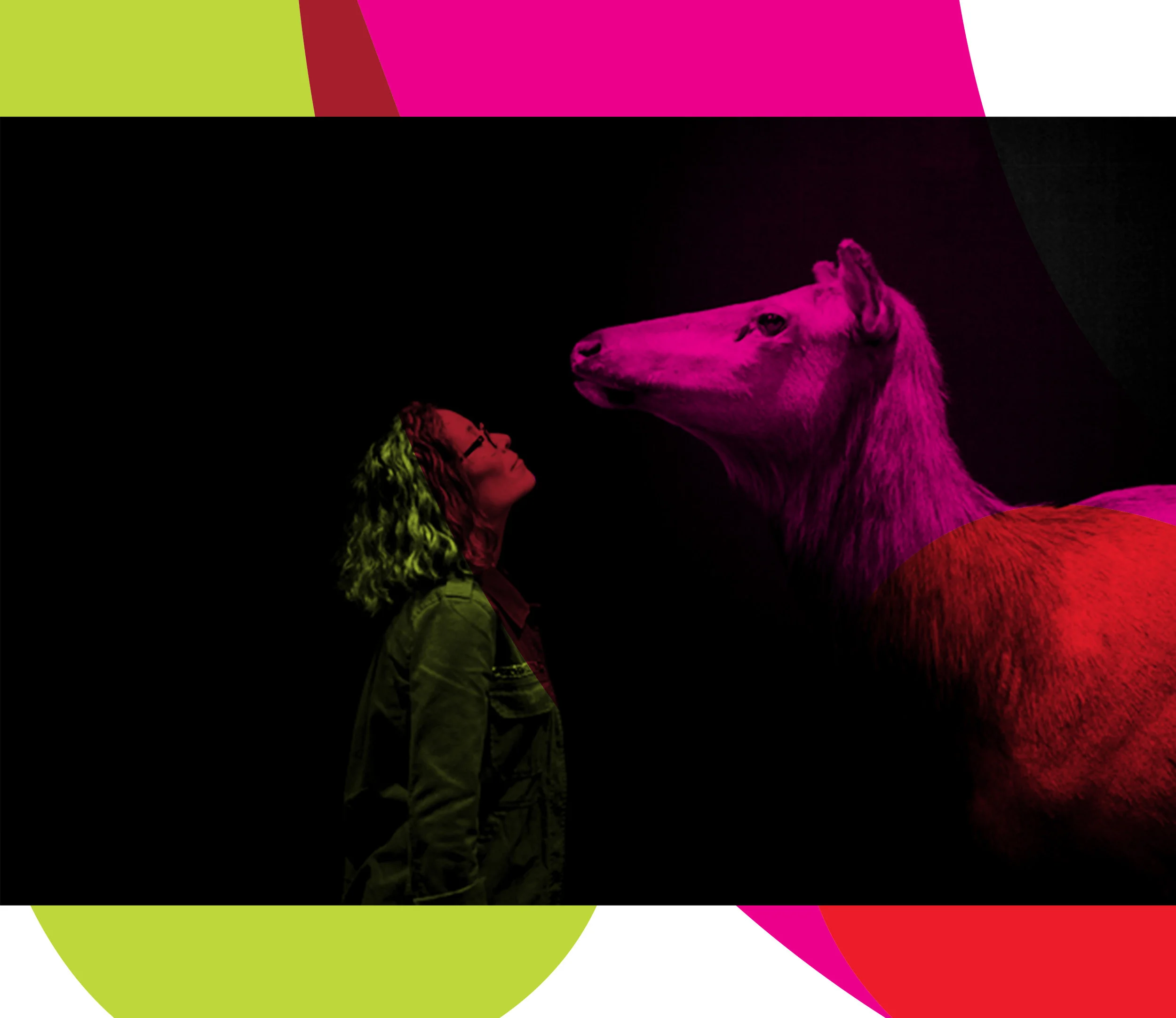 Wild Things — MOV | Museum of Vancouver